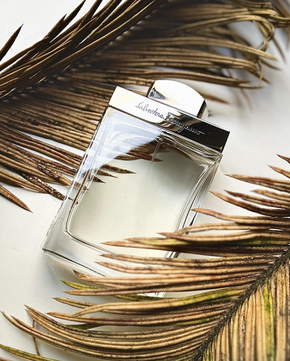 Salvatore Ferragamo Salvatore Ferragamo EDT (H) 100ml