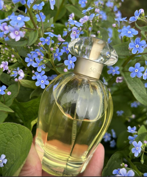 Oscar de la Renta So EDT (H) 100ml