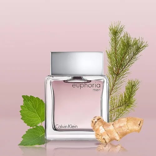 Calvin Klein Euphoria EDT (H) 100ml