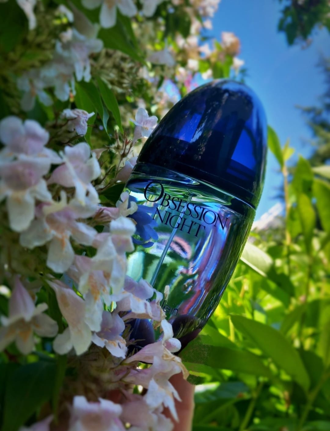 Calvin Klein Obsession Night EDP (M) 100ml