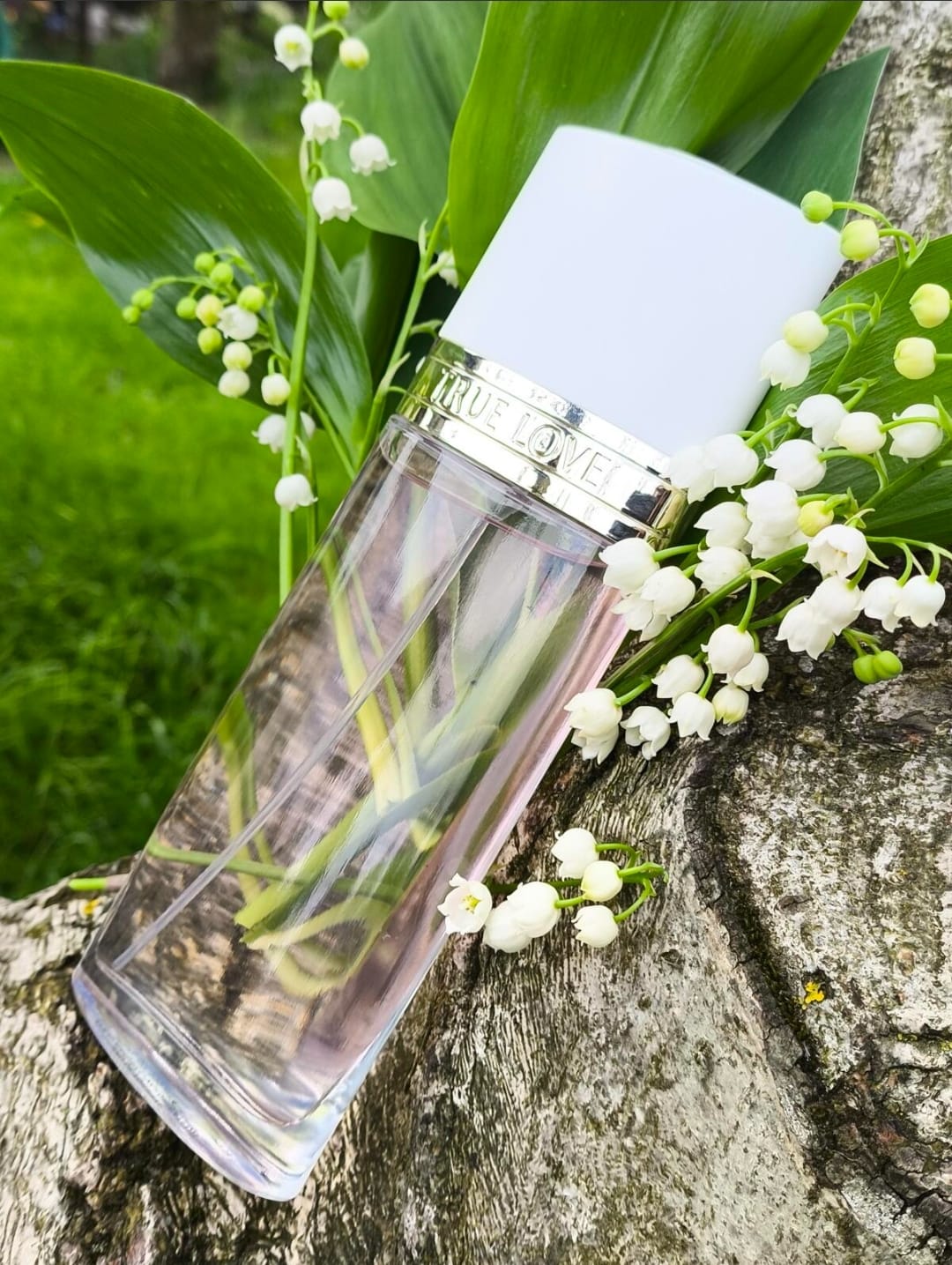 Elizabeth Arden True Love EDT (M) 100ml