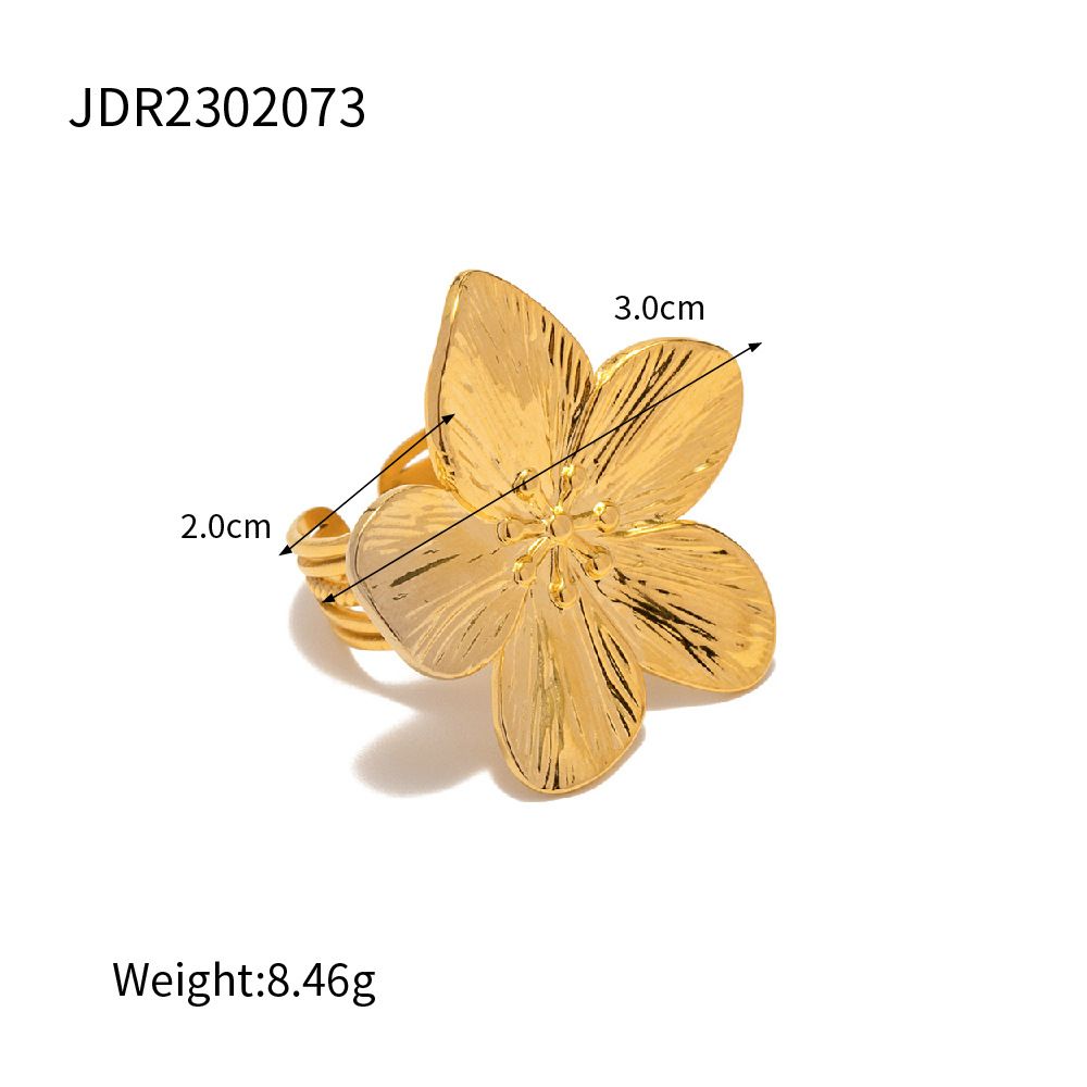 Anillo 25