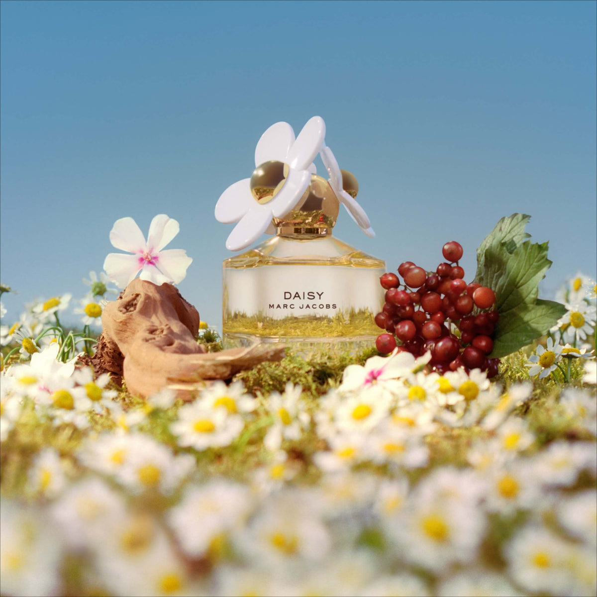 Marc Jacobs Daisy EDT (M) 100ml
