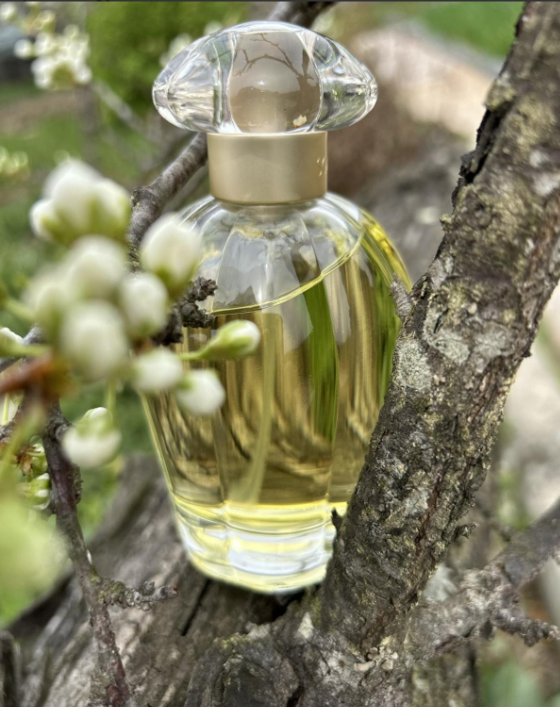 Oscar de la Renta So EDT (H) 100ml