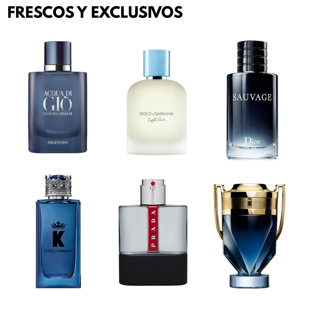 Frescos y Exclusivos – 6 Decants de 10ml