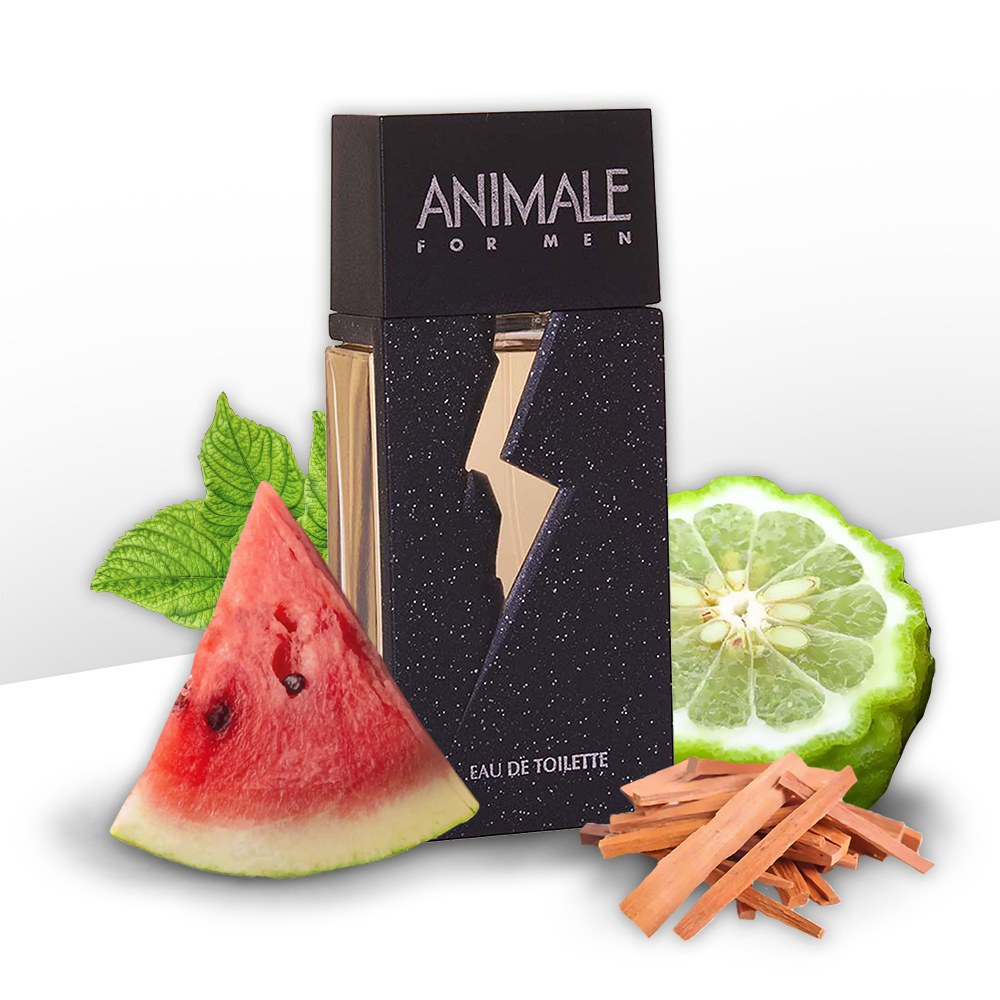 Animale For Men EDT (H) 100ml