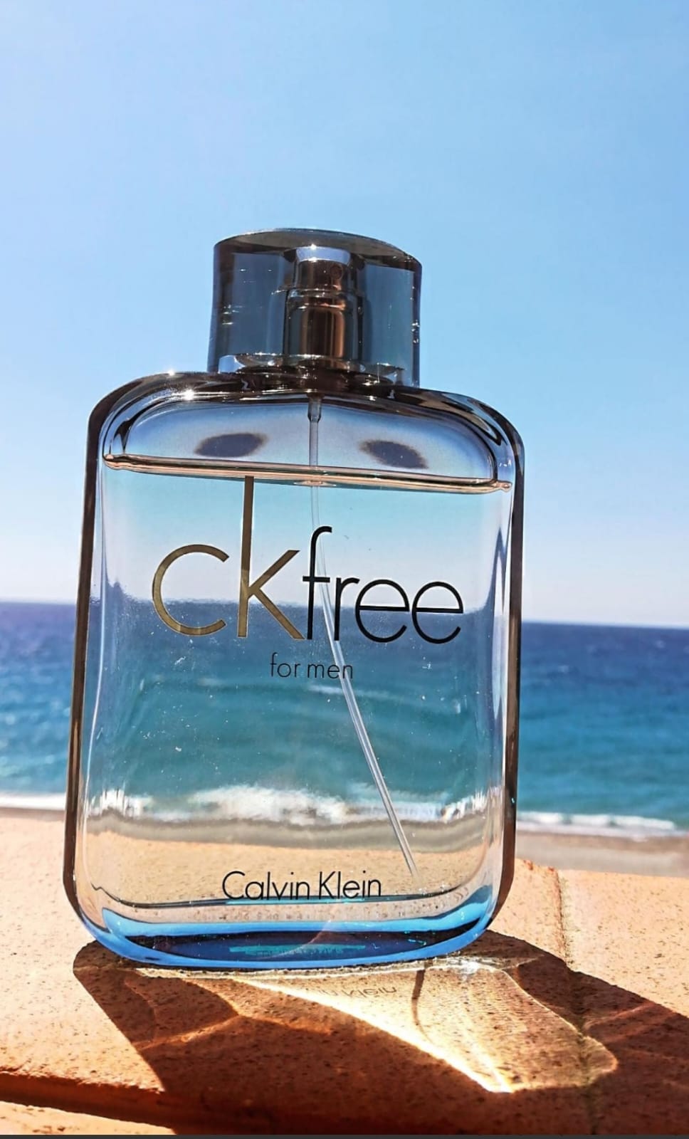 Calvin Klein CK Free EDT (H) 100ml