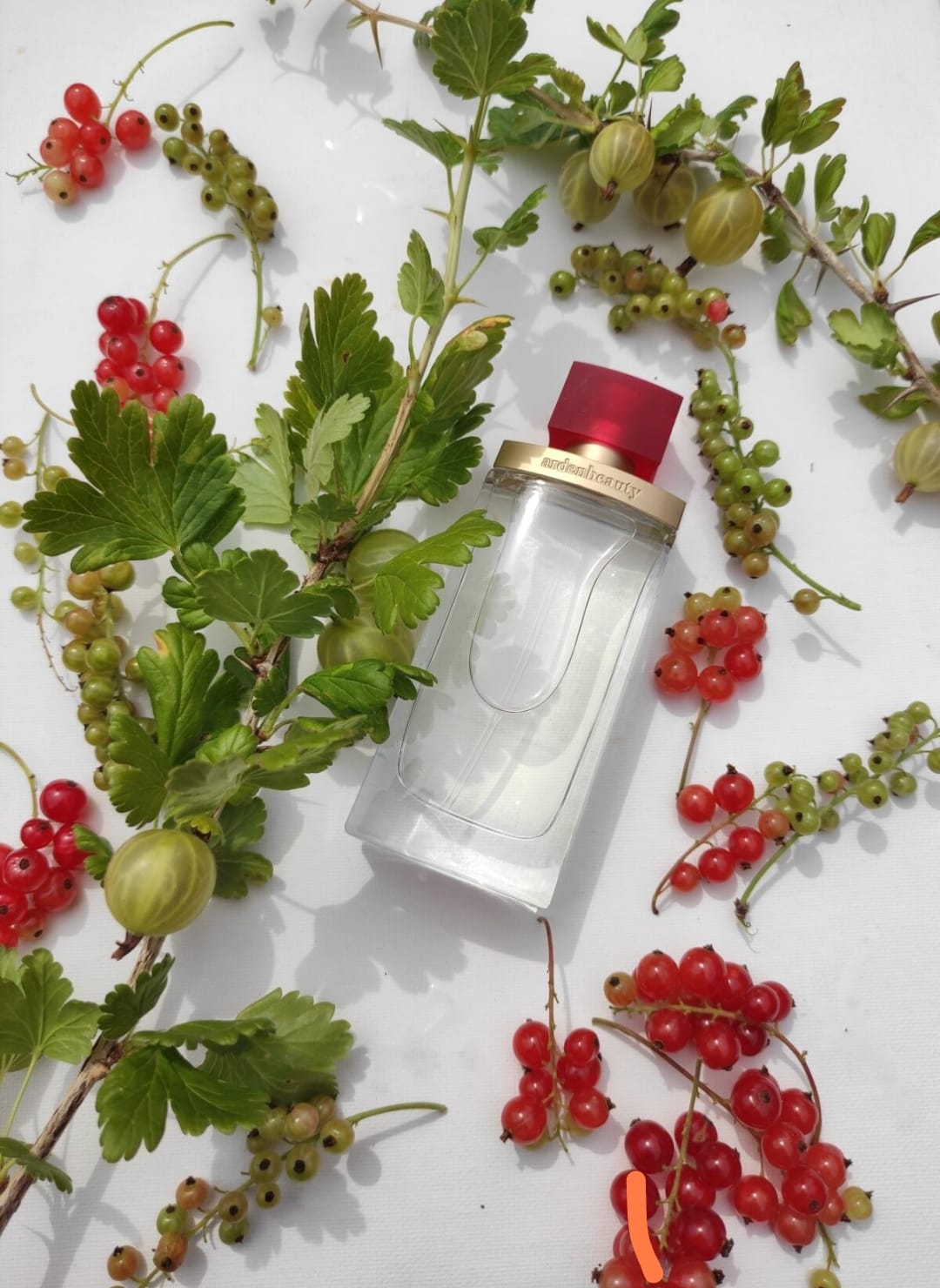 Elizabeth Arden  Beauty EDP (M) 100ml