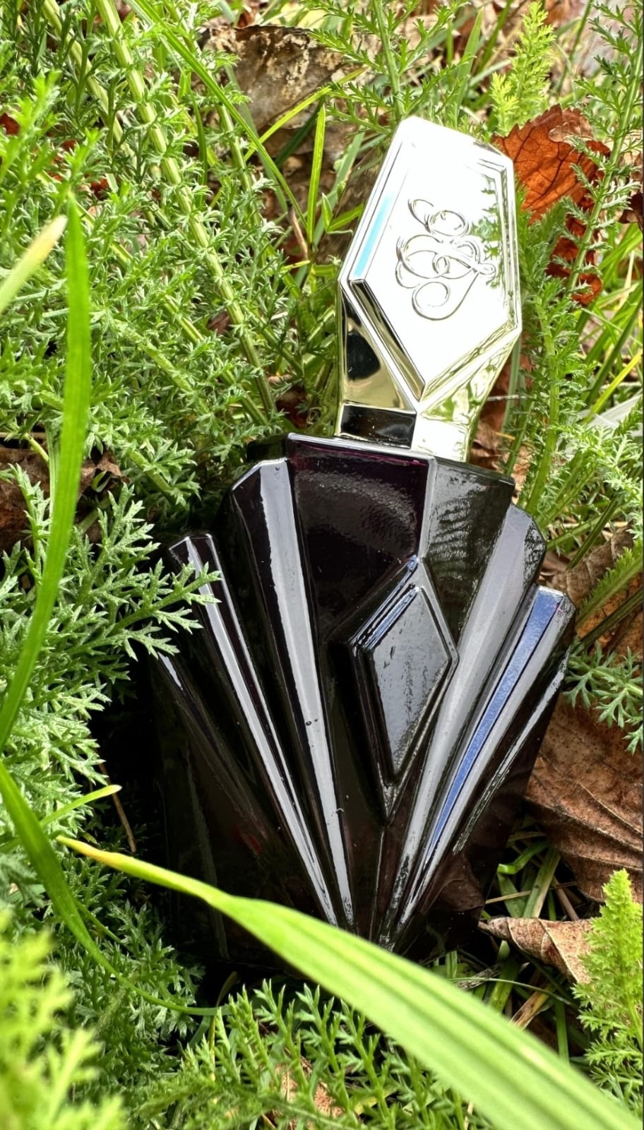 Elizabeth Taylor Passion EDT (M) 75m