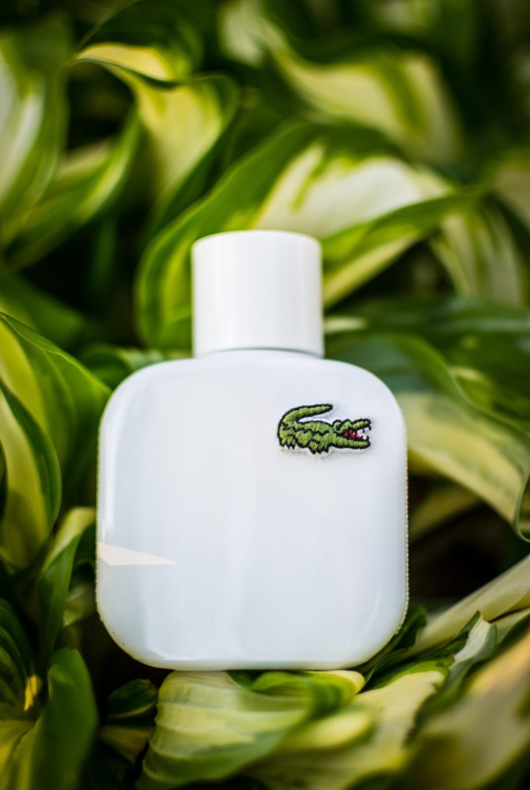 Lacoste L.12.12. Blanc EDT (H) 100ml
