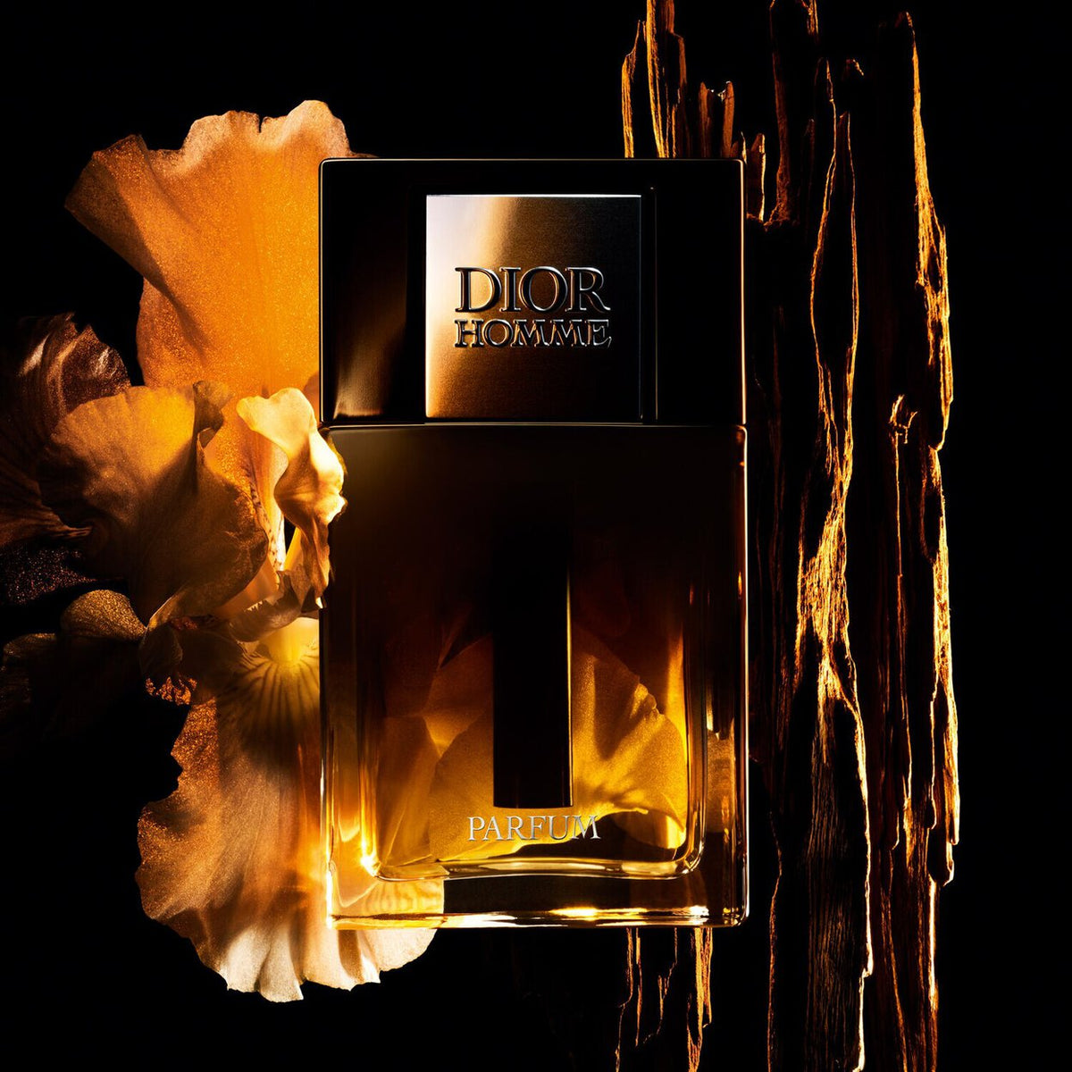 Dior Homme Parfum (H) 75ml