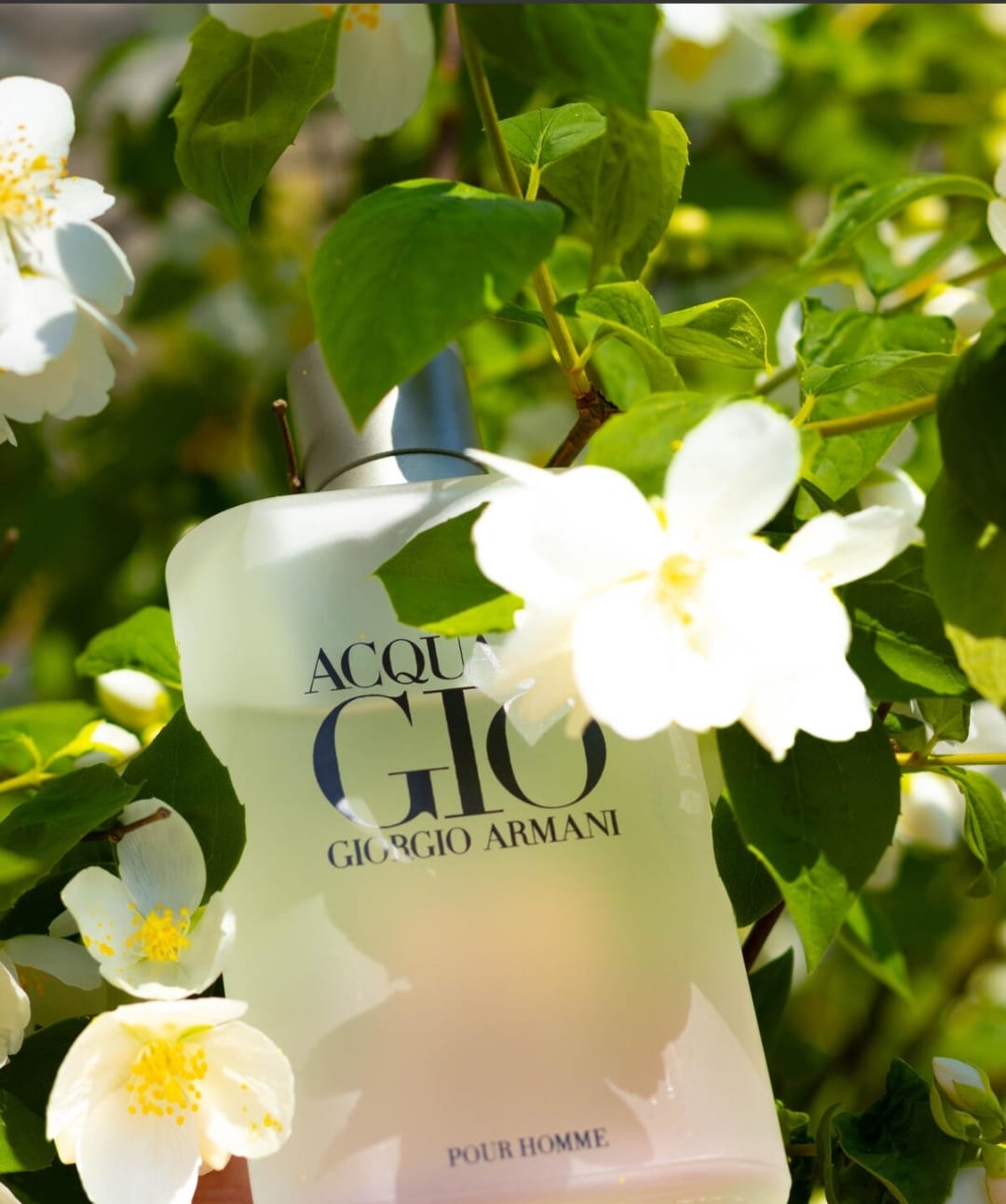 Giorgio Armani Acqua di Gio EDT (H) 100ml - Imagen 2