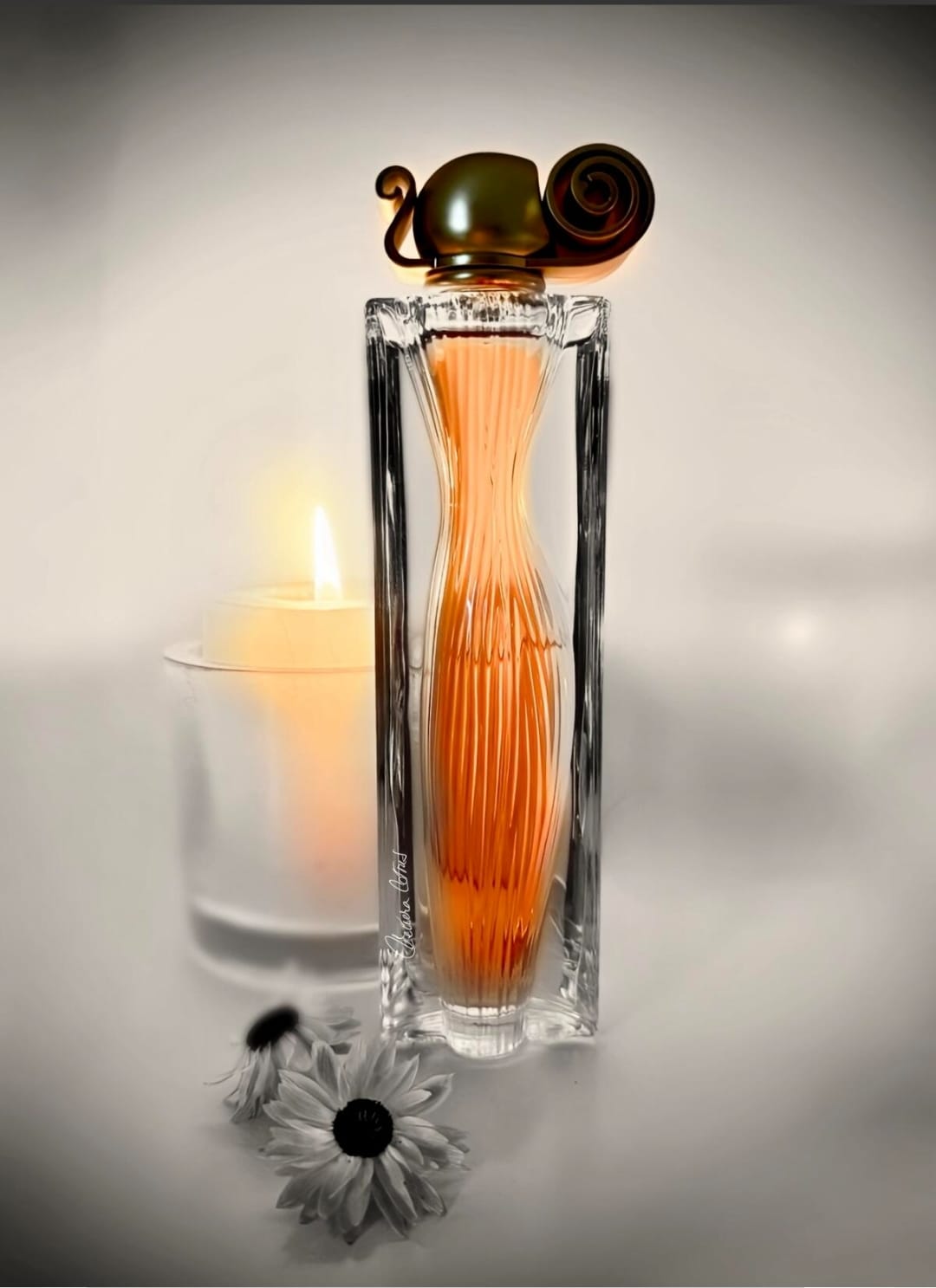 Givenchy Organza EDP (M) 100ml - Imagen 3