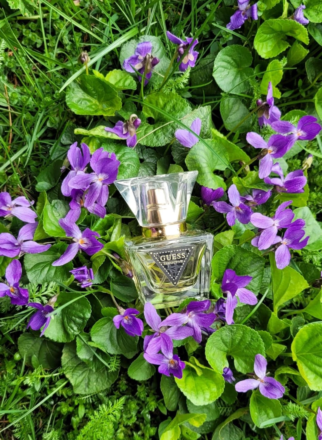 Guess Seductive EDT (M) 75ml - Imagen 2