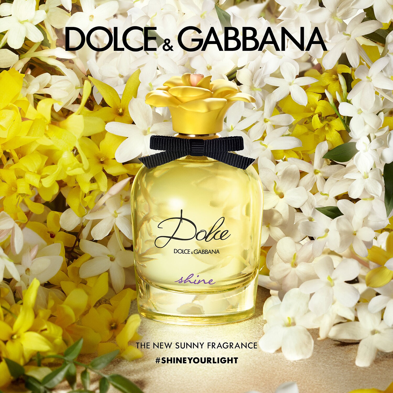 Dolce & Gabbana Dolce Shine EDP (M) 75ml - Imagen 2